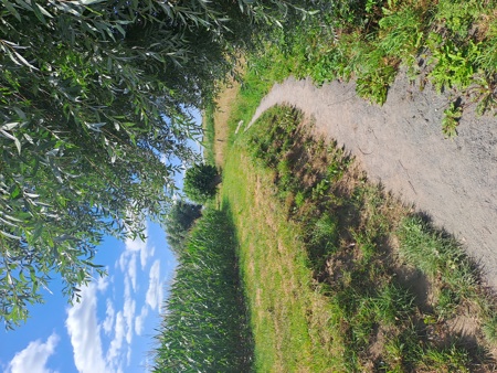 Wandeling in Esen (Diksmuide) op 25 oktober 2026